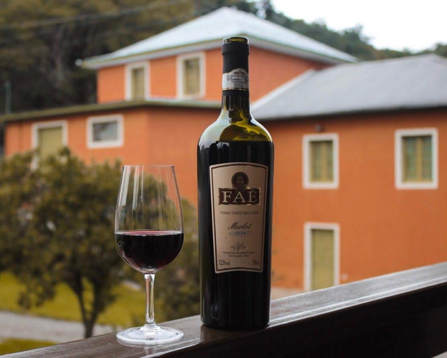 Vinícola Vinhos Faé