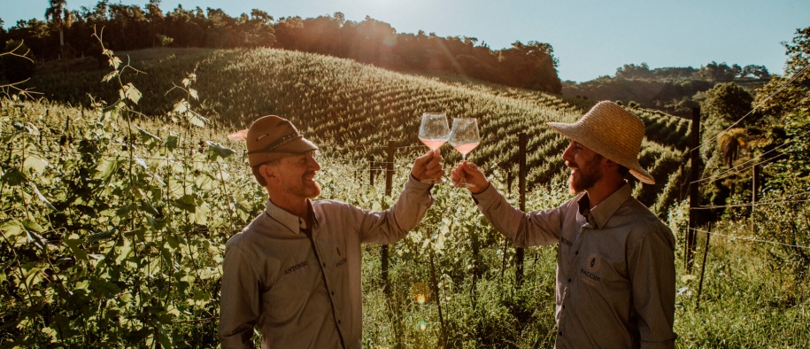 Vinícola Faccin Vinhos Artesanais